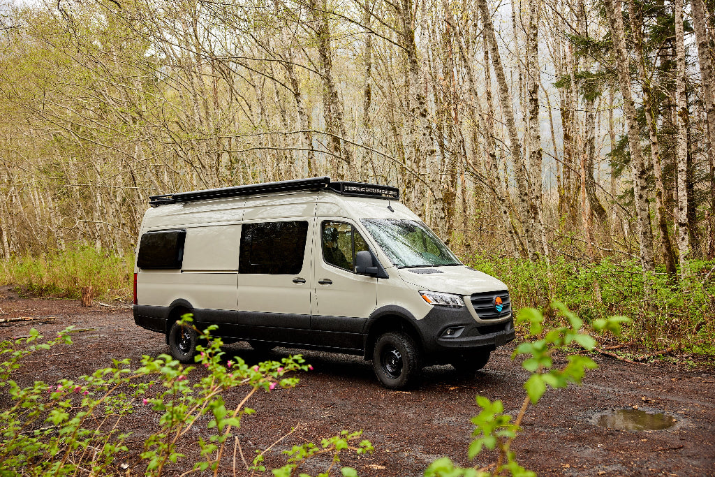 Van parked in a forest with trees and greenery around