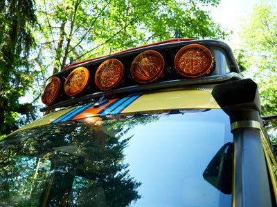 SAFARI LIGHTS